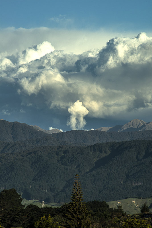 Looking East from Waikawa Beach