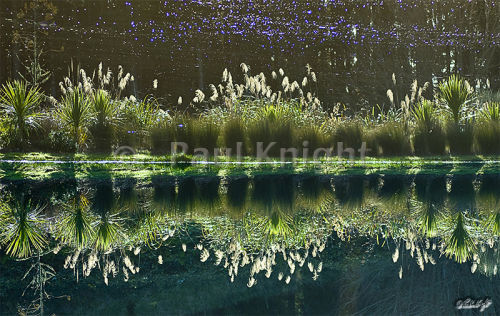 Waterstone Lake, Paraparaumu.