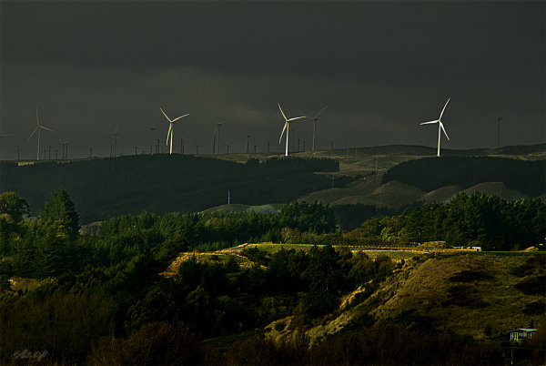 turbines-from-AnzacPk_0130