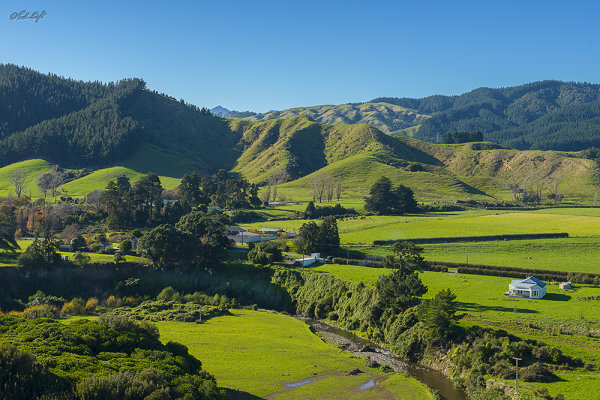 view_1516 from Nth Manakau Rd