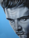 'Elvis'