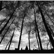 St Paul's Silhouette