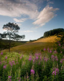 Cot Nab Evening Clouds
