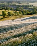Shadows over Bishop Wilton