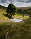 Fairy Dale Light Burst