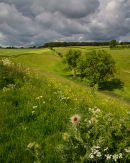 Grey Clouds Over Horse Dale