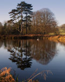 Calm Waters at Londesborough