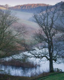 Deep Dale Pond Light