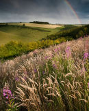 Summer Storm on Bishop Wilton Wold