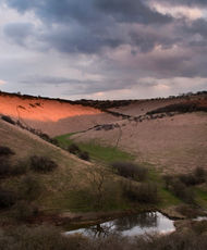 Sylvan Dale Sunlight