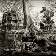 Ta Prohm Temple 1