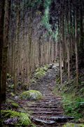 Kumano Kodo Path 1