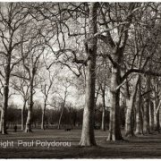 Hyde Park, London