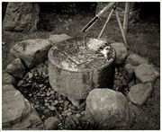 Kyoto garden, Holland Park