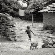 Village boy with piglet