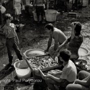 Fish Market, Catania