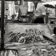 Fish Market, Catania