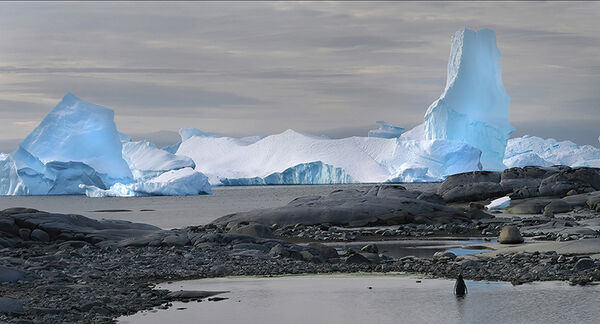 Antarctic vista