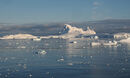 Ice in the water