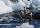 Going fishing