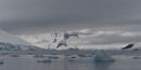 Ice in the bay