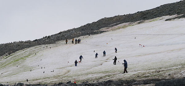 Uphill at Danco Island