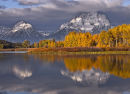 Oxbow Bend 5