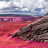 False colour Dartmoor infrared landscape - View from Haytor