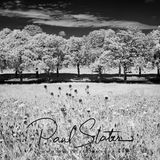 Black and White infrared landscape - Central Park, Plymouth