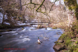 Dovedale 3