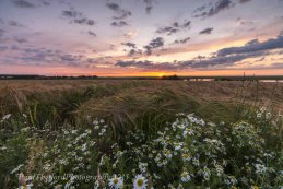 Last light Burnham Overy 3