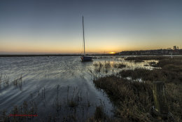 Blakeney Dawn 6