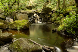 Padley Gorge