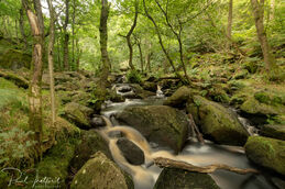 Padley Gorge 3