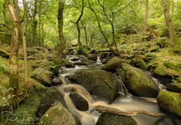 Padley Gorge 4