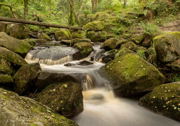 Padley Gorge 5