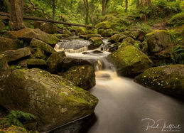 Padley Gorge 6