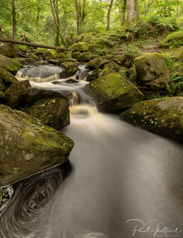 Padley Gorge 7