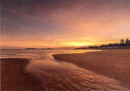 Wells dawn