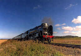Black Prince