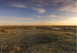 Blakeney