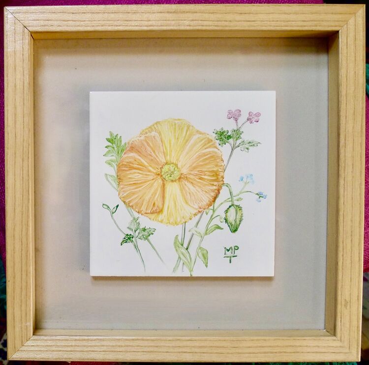 Hand Painted Orange Poppy