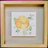 Hand Painted Orange Poppy