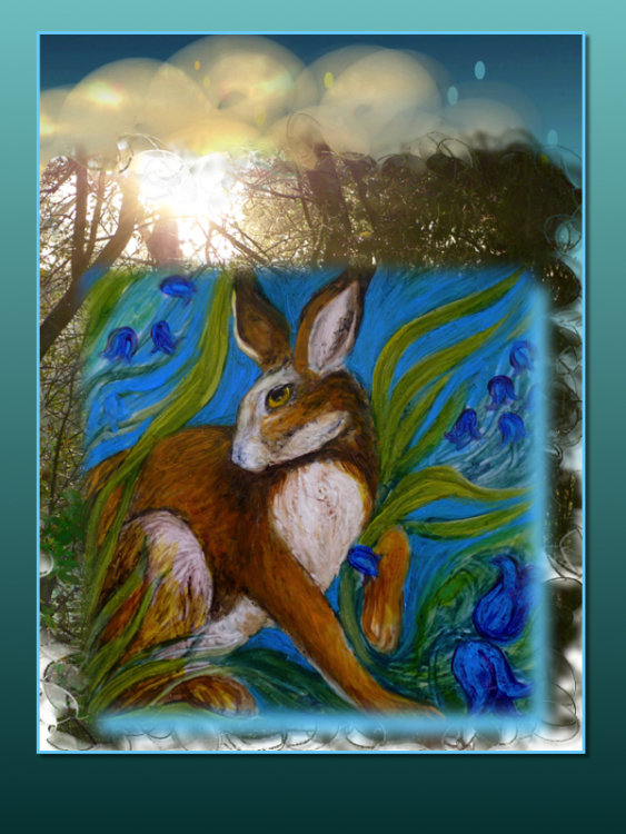 Hare Belles 2. Gallery: TheSpringCollection £14.99 each £5. P&P
