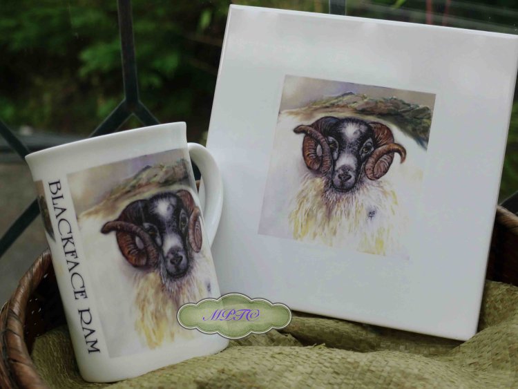 "Blackface Ram" Special Price. Printed Mug @ £7.99 & Tile £7.99 Each. £5 P&P