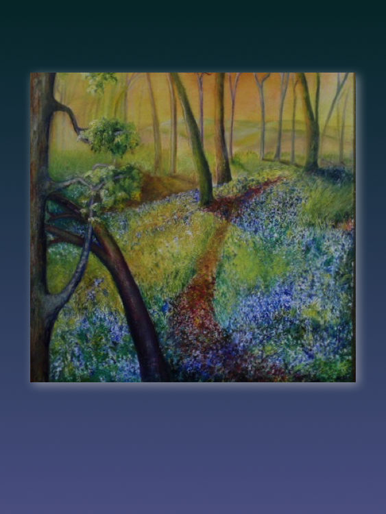 The Woods (Cats Playground)
