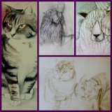 First Drawings then Paintings