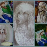 Paintings, Drawings & Painted Plates of Standard Poodles.