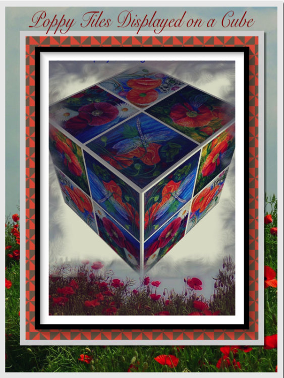 Cube Display of Margaret's Poppy Tiles