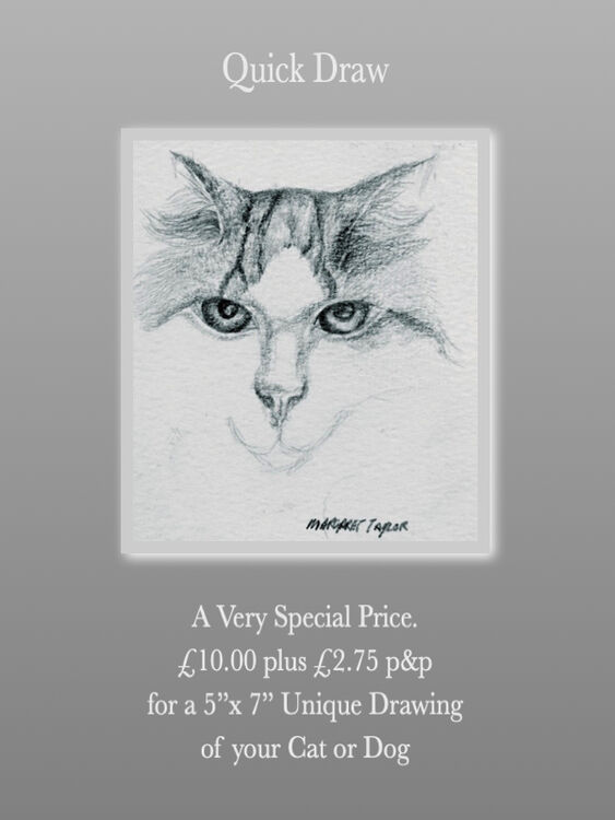 'Quick Draw' Send a Photo. A drawing for £10 pounds.